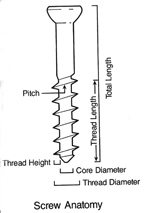 The anatomy of a fixation screw