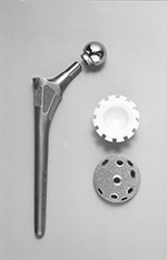 Modular non-cemented hip prosthesis